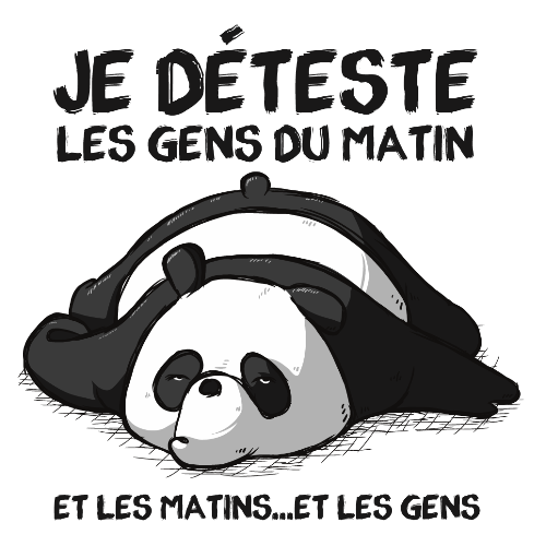 Tee shirt Panda sieste Coton 100 Bio J