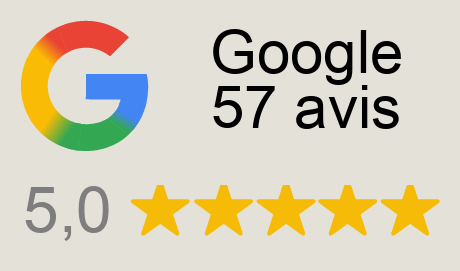 Avis Google Sergent Tobogo