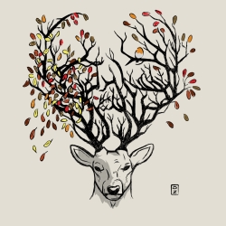 Cerf d'automne