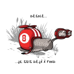 t-shirt Escargot à fond de cale