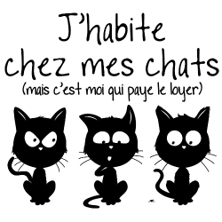 t-shirt J’habite chez mes chats