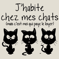 t-shirt J’habite chez mes chats