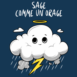 t-shirt Sage comme un orage